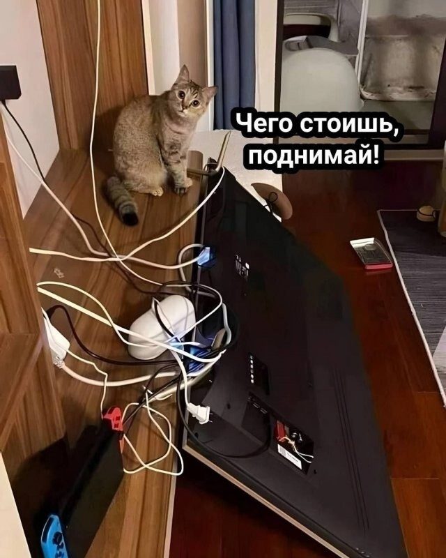 Не ищите здесь смысл