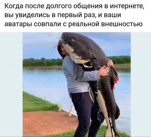 Мемы