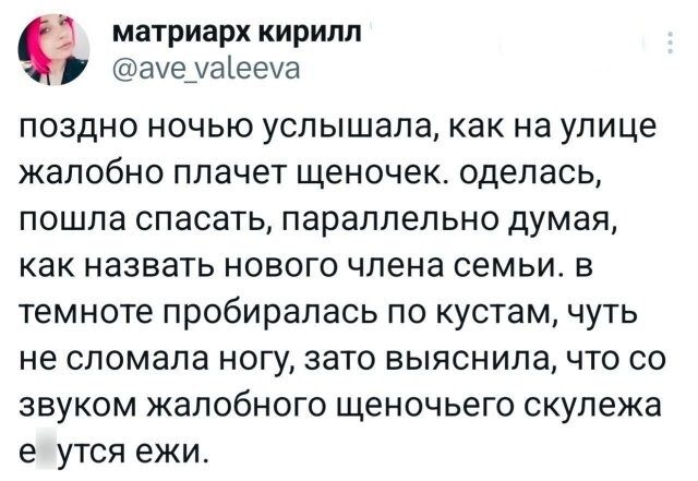Скрины из соцсетей