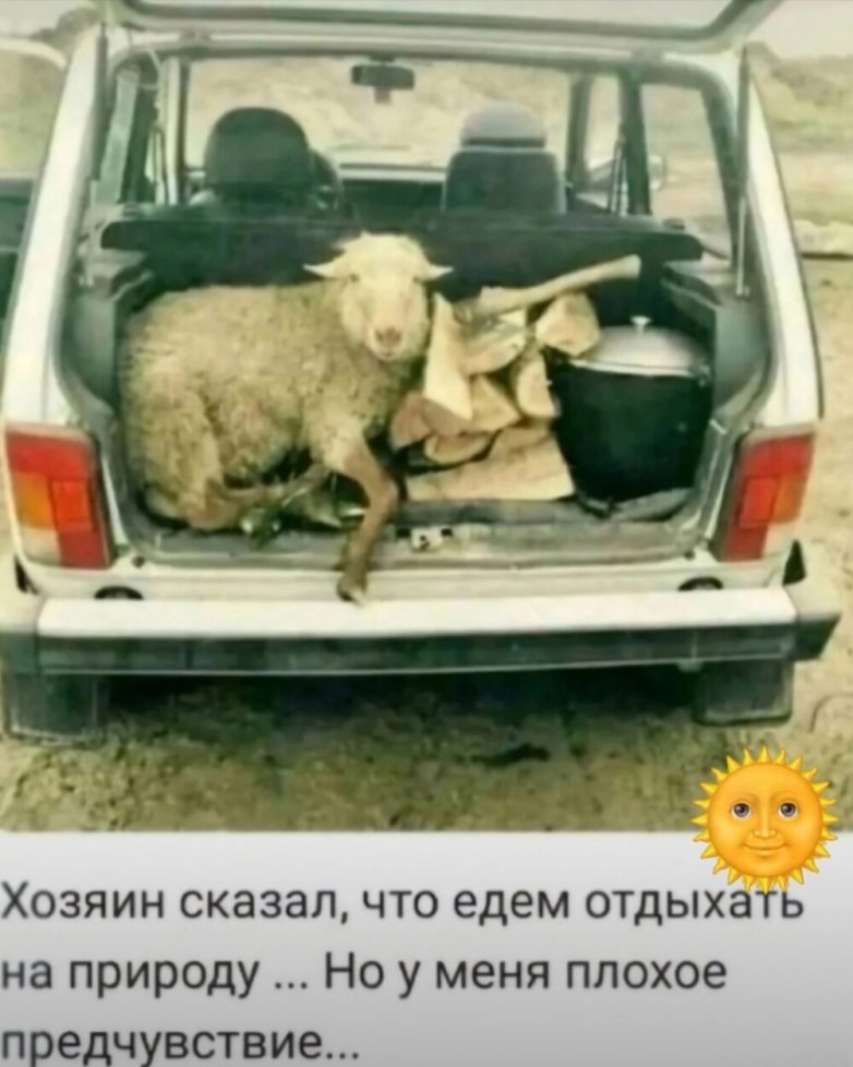 Большая порция улыбатора