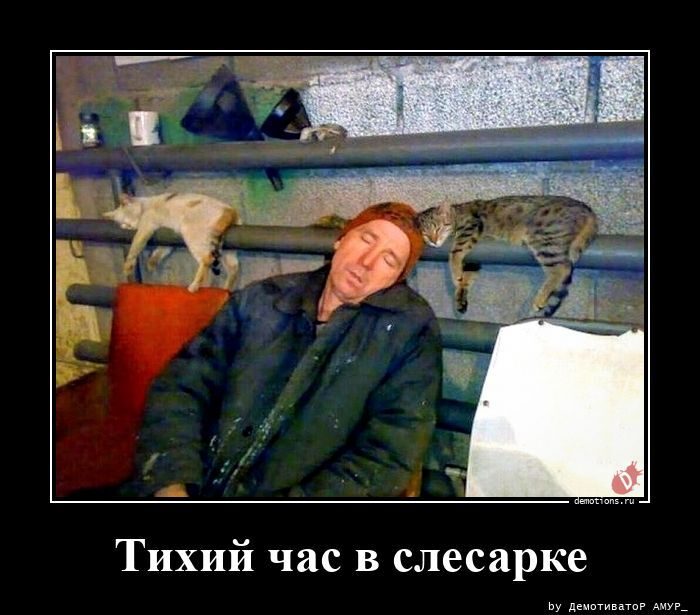Сборник прикольных демотиваторов
