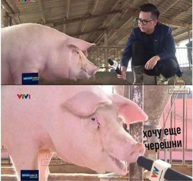 Картинки и мемы