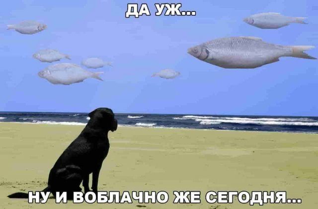 Картинки и мемы