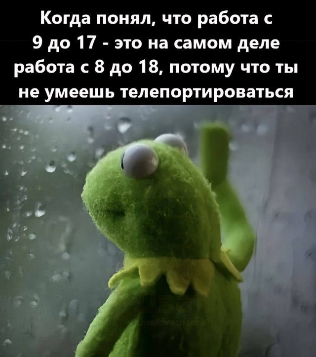 Шутки и мемы