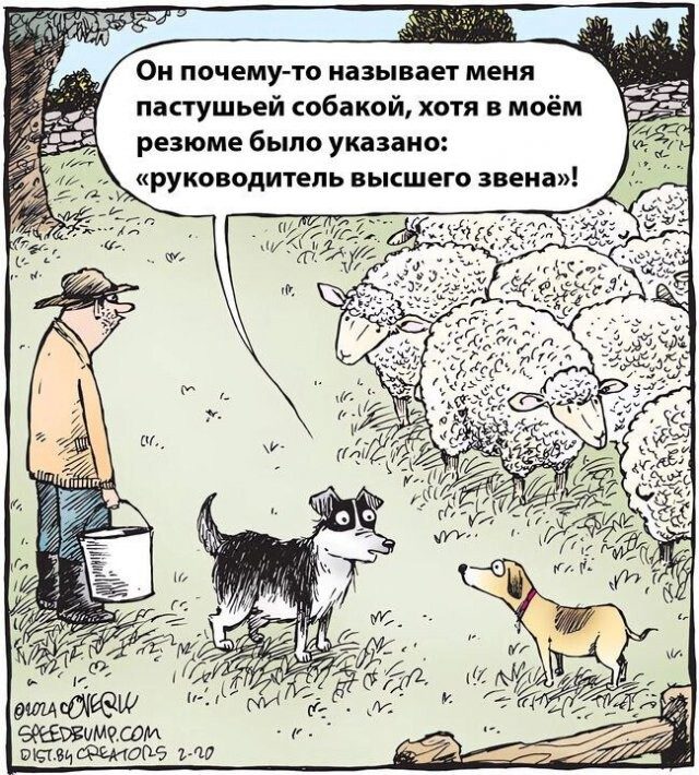Соцсети