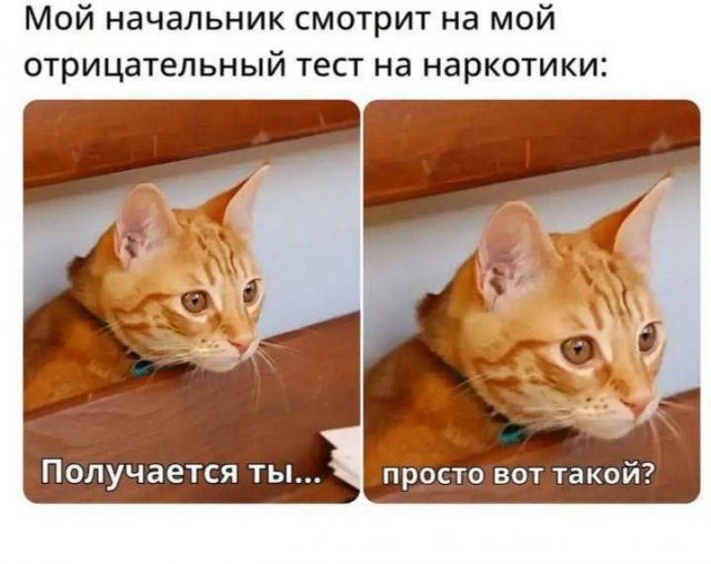 Приколы из интернета