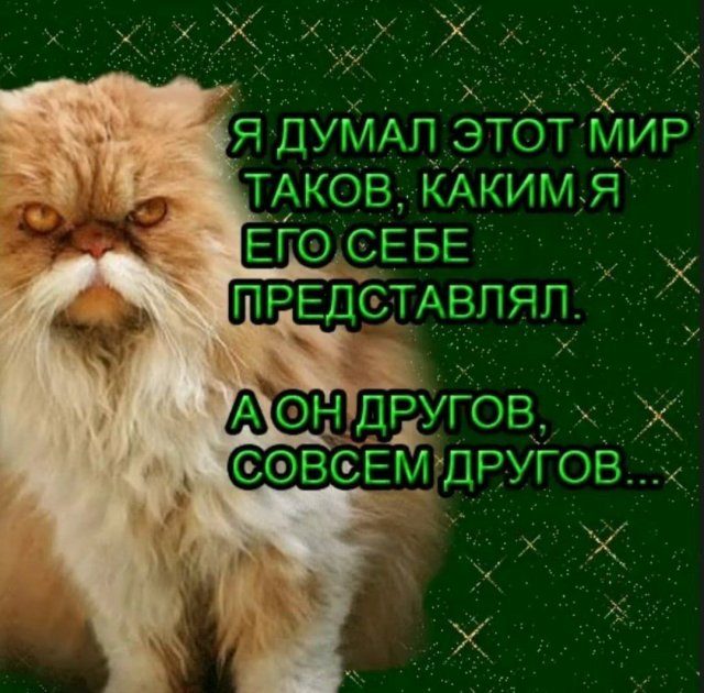 Приколы из интернета