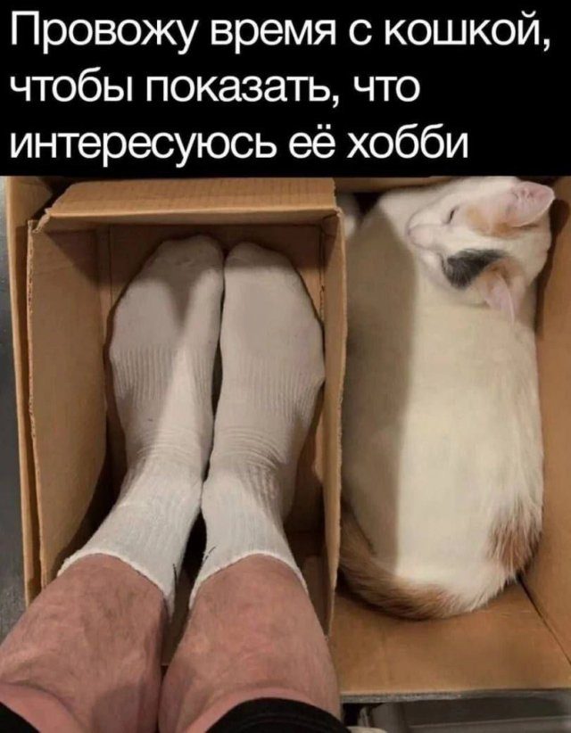 Лучшие шутки и мемы из Сети