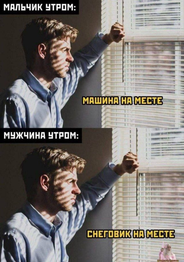 Лучшие шутки и мемы из Сети