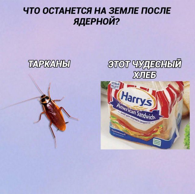 Лучшие мемы