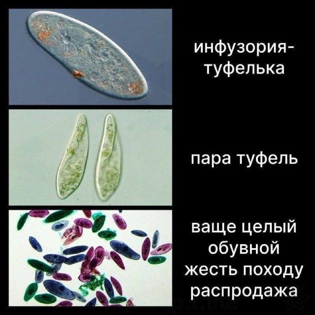 Фотоприколы