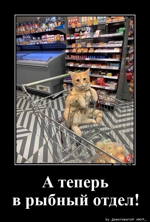Демотивирующие картинки