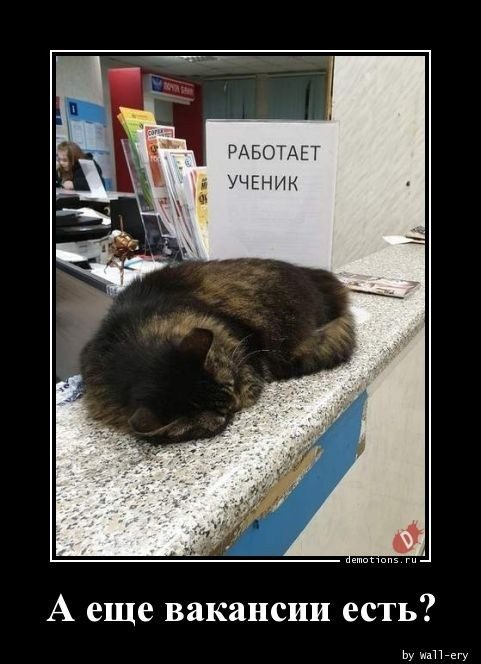 Демотивирующие картинки