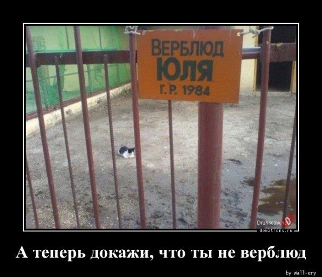 Демотивирующие картинки