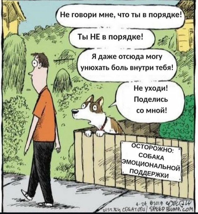 Лучшие шутки и мемы из Сети