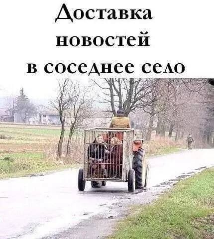 Весёлые картинки и прикольные мемы