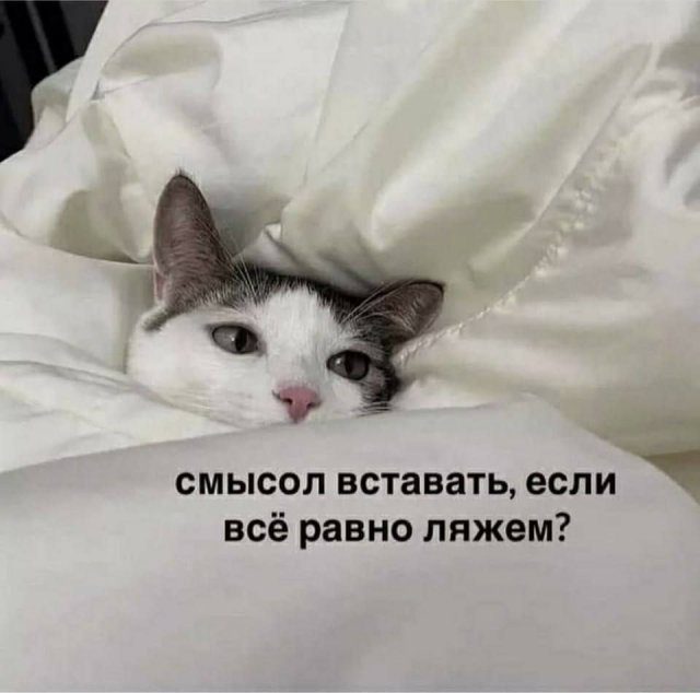 Лучшие шутки и мемы из Сети