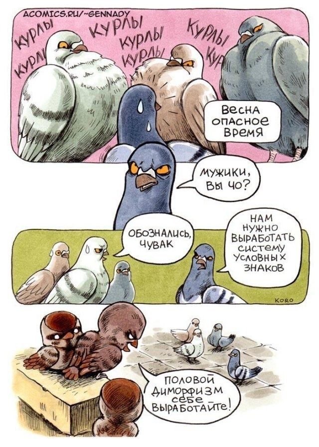 Скриншоты из соцсетей