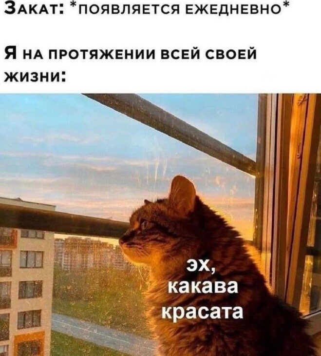 Не ищите здесь смысл