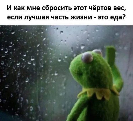 Не ищите здесь смысл