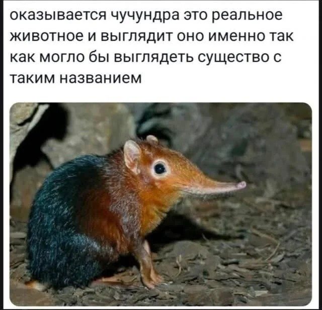 Не ищите здесь смысл