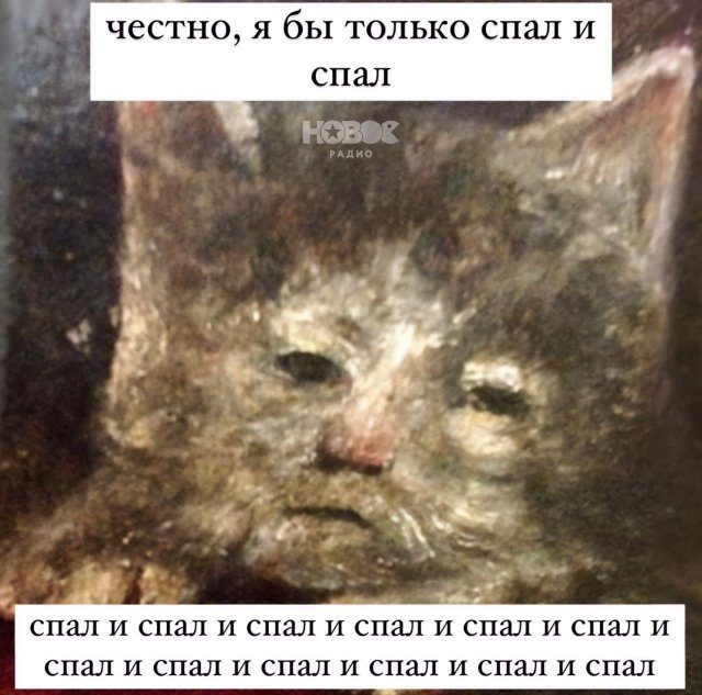 Мемы из интернета