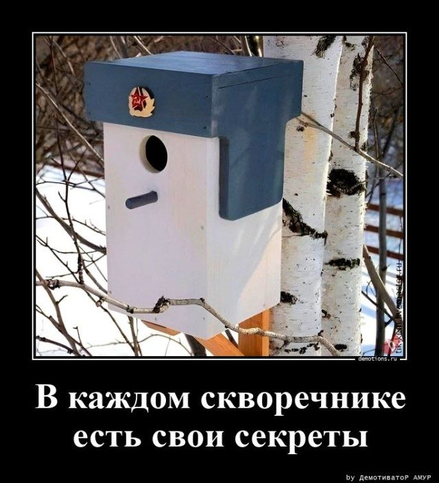 Прикольный юмор в демотиваторах