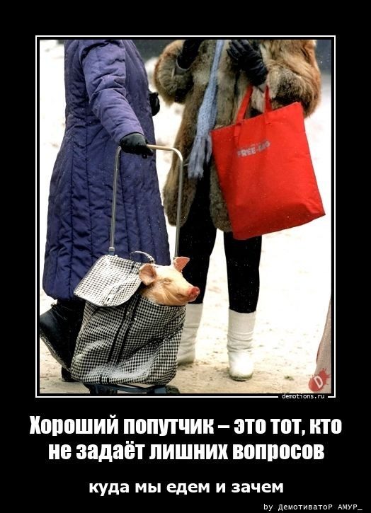 Демотиваторов свежая порция