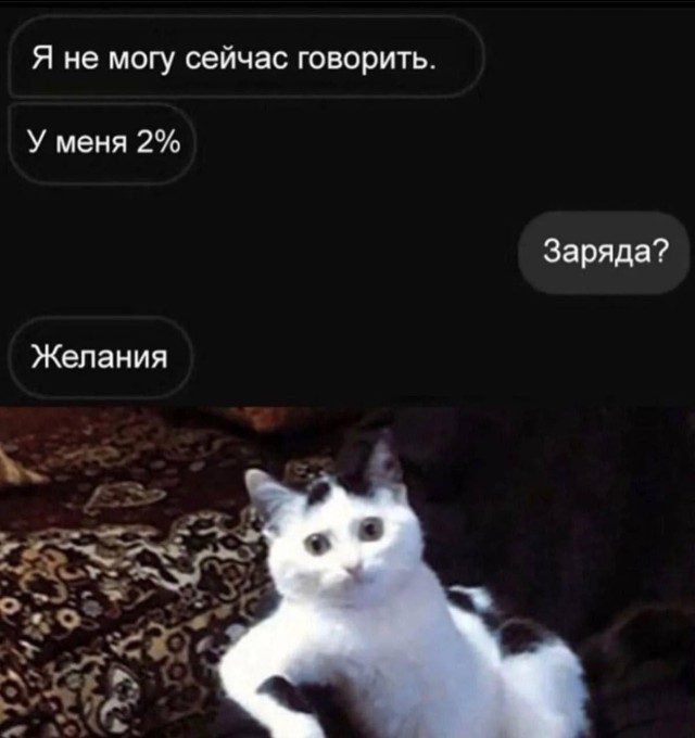 Весёлые приколы в картинках