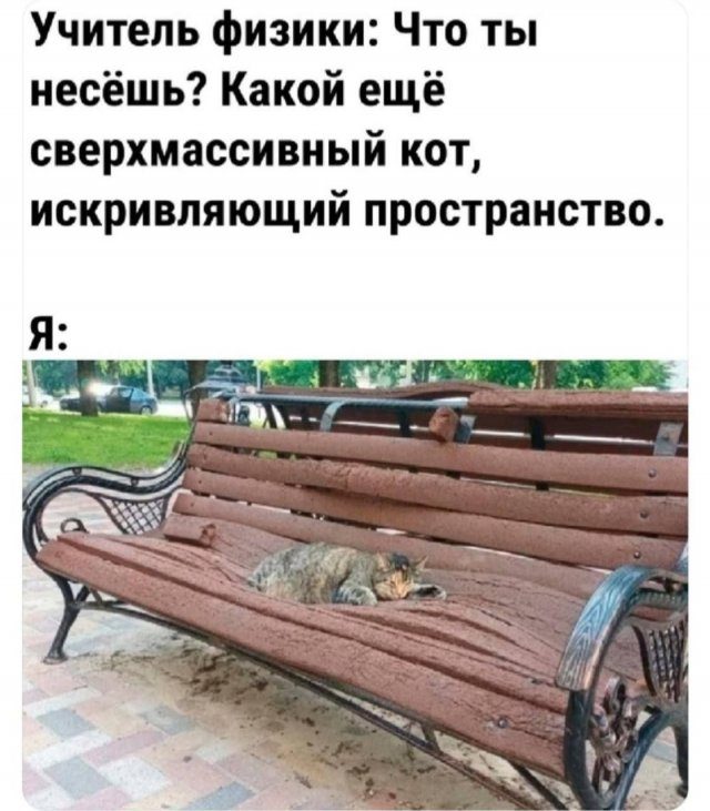Лучшие мемы