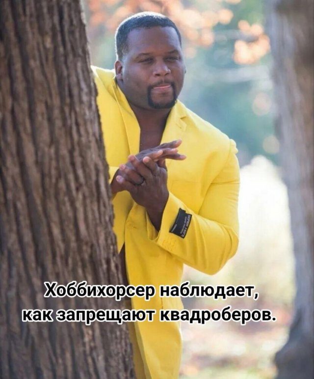 Лучшие мемы