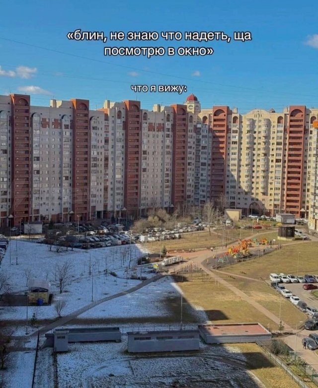 Лучшие мемы