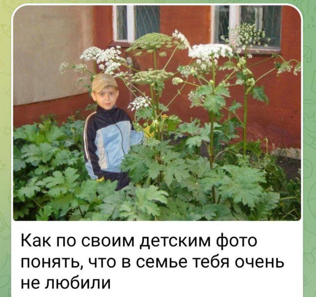 Смешные мемы