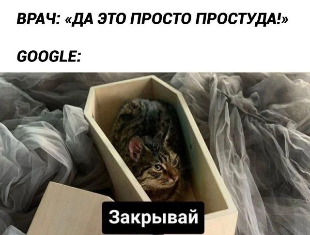 Смысла не несет