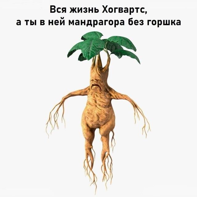 Скрины из соцсетей