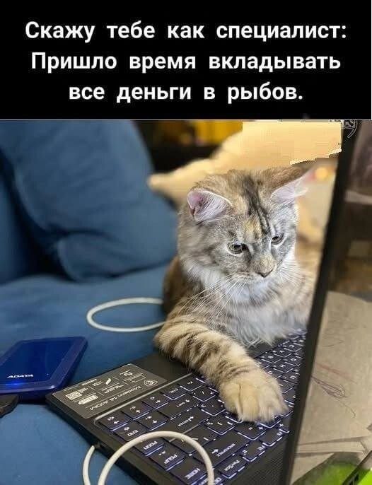 Маразм