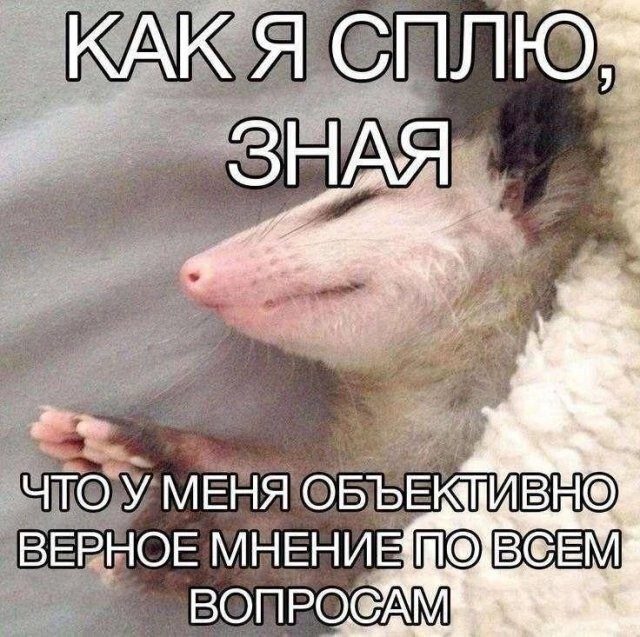 Смысла не несет