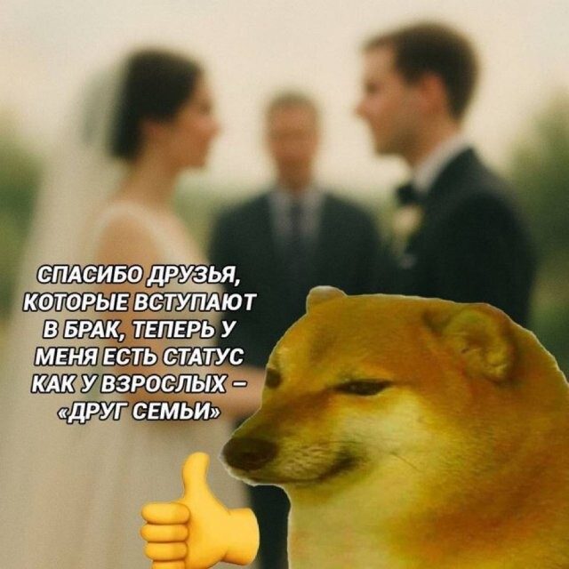 Скрины из соцсетей