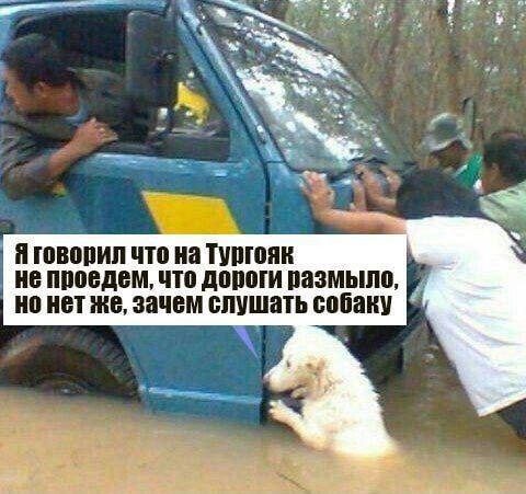 Фотоприколы дня