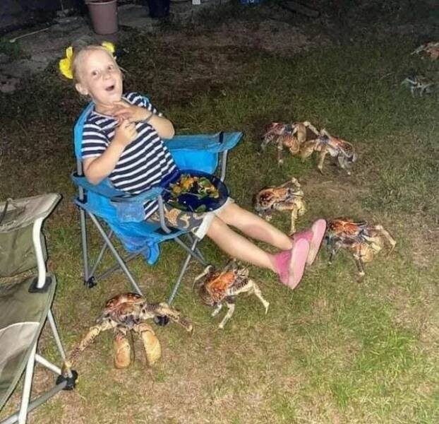 Фотоприколы дня