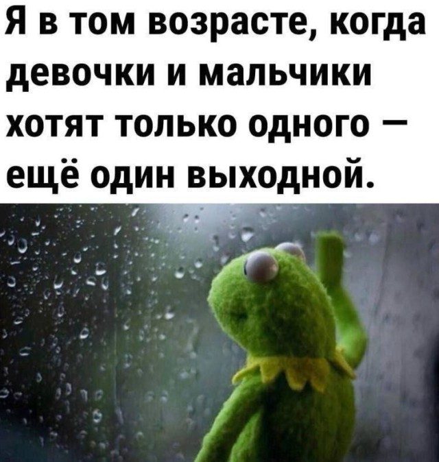 Фотоприколы дня