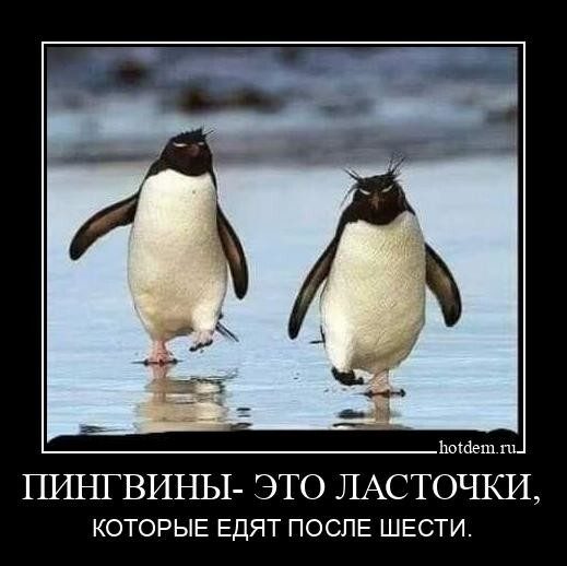 Демотиваторы