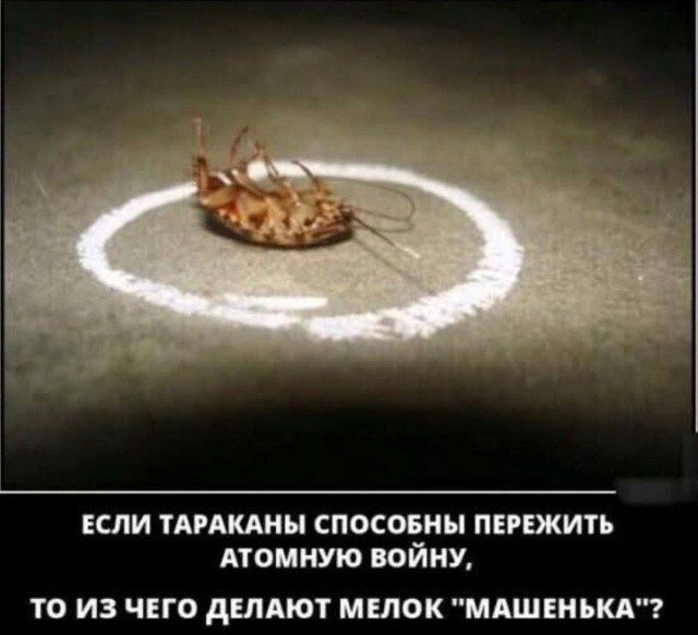 Прикольные картинки