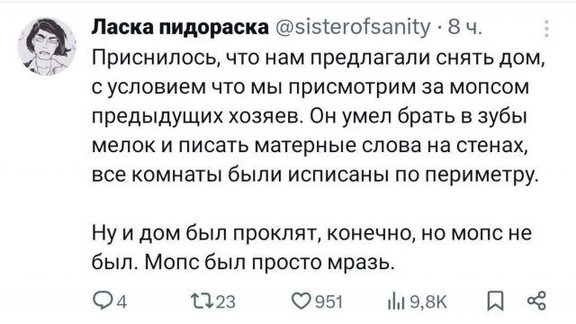 Мемы из Сети