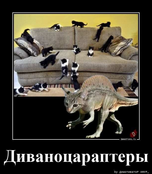 Демотиваторы
