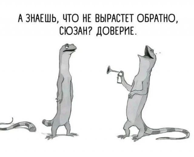 Мемы из Сети