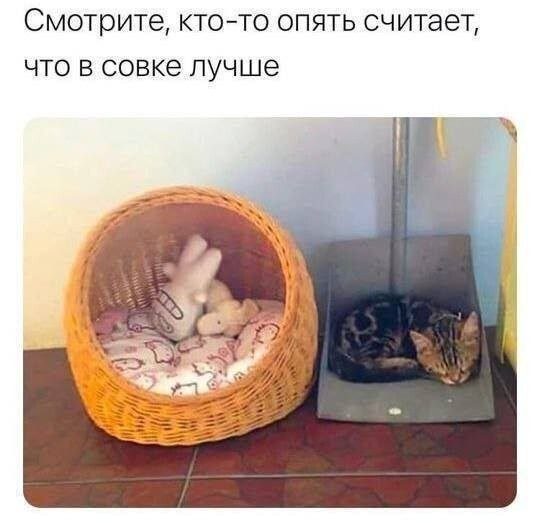 Скрины из соцсетей