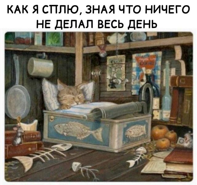 Не ищите здесь смысл