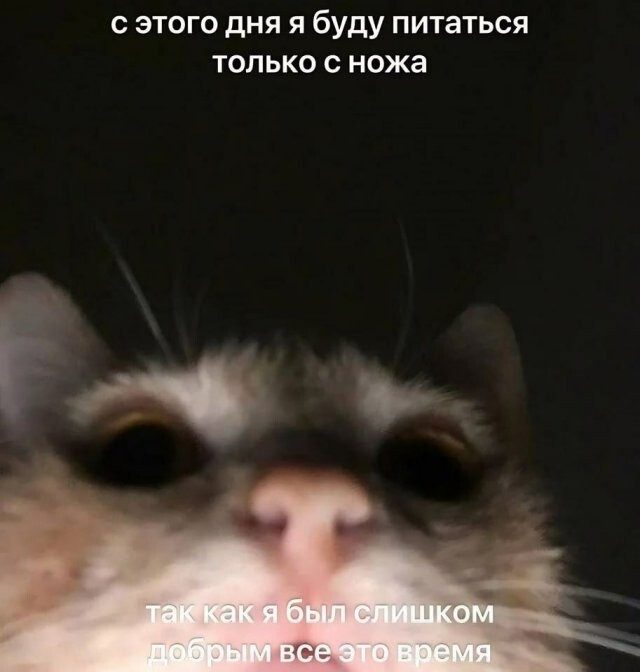 Скрины из соцсетей