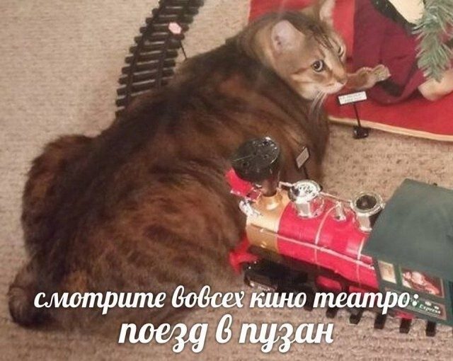 В основном маразм